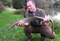 Sixand a half pound eel