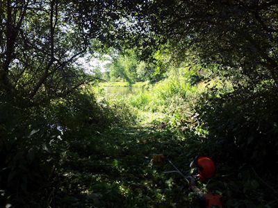 Harbridge Path