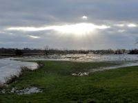 Ellingham floods