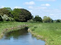 Harbridge Stream