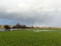 Rainbow at Blashford