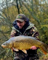 Scattered scaled common