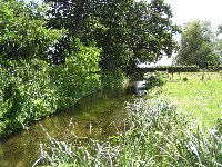 Ideal habitat