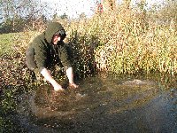 Returning a carp