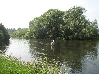 River fly survey