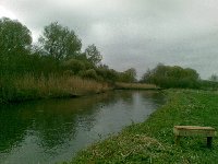 Middle Cabbage salmon pool