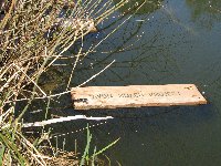Spawning boards