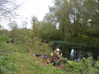 dace fishing