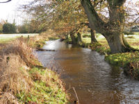 Dockens Water