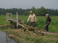 Bridge repairs