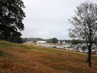 The crowds