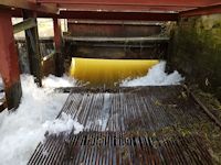 Cleared hatch