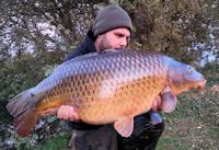 Jack with a 33+ common