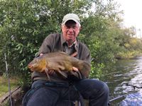 Large male tench