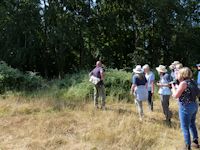 New Forest Butterfly Transect Group