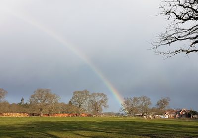 Rainbow at Harbridge