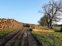 Timber stacks