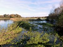 Kings Stream channel