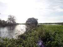 The perched Main Channel