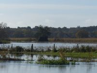 Arable in the flood plain
