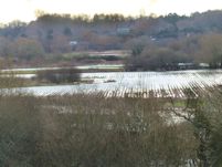 Farming in the flood plain