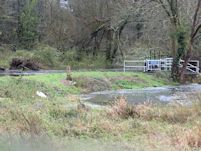 Spearing a jack pike