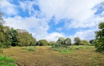 Clearing the brambles
