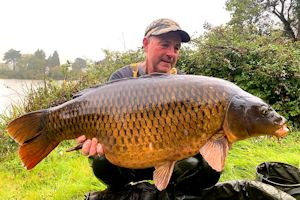 Forty plus stunning common
