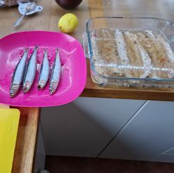 Sardines