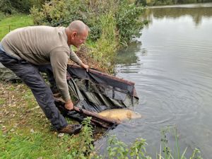 Returning a 20+ common