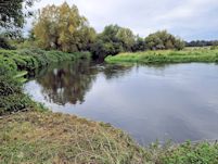 Ibsley Pool left bank