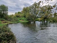 The Pink Cottage weir pool