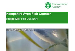 Knappmill Counter Report.