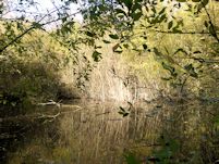 Pond creation