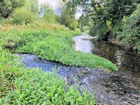 Boulder weir