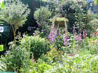Front garden