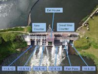 The Great Weir