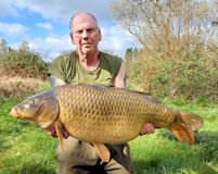 Big common