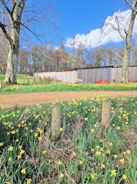 Outside the lambing shed