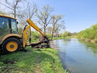 Removing the Broadmeade oak
