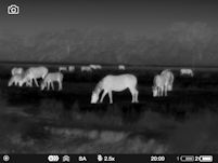 Thermal photograph